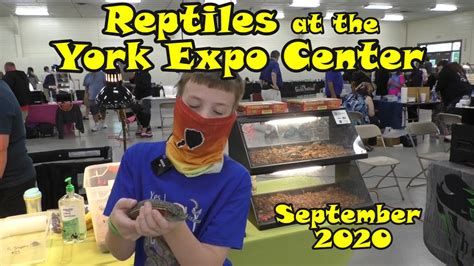Reptile show york pa. Things To Know About Reptile show york pa. 